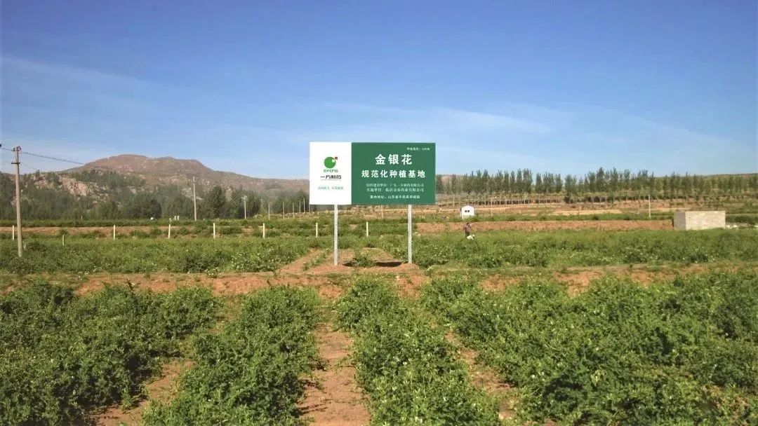 8ooiABS4Nt.jpg 8ooiABS4Nt.jpg