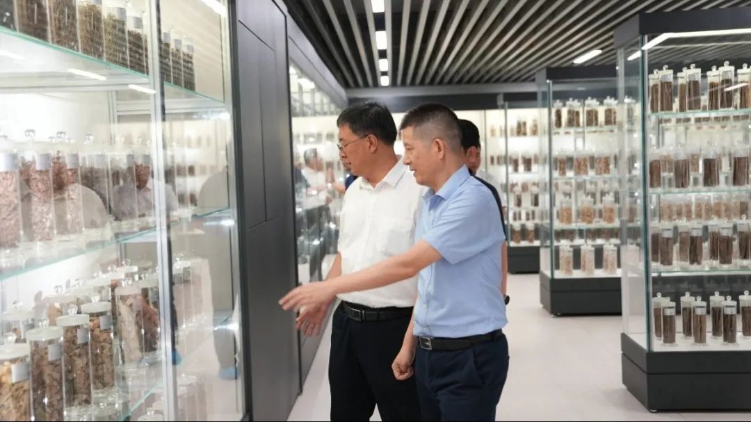 uwX6dljeAW.jpg uwX6dljeAW.jpg