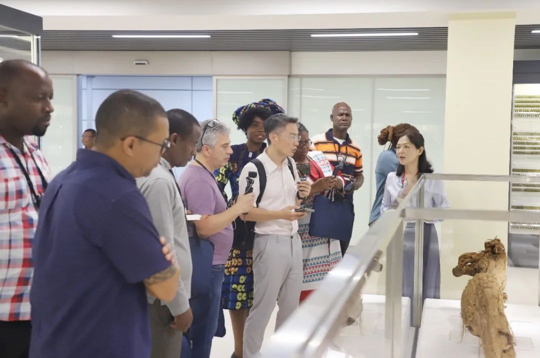 0RLbXdryfi.jpg 0RLbXdryfi.jpg