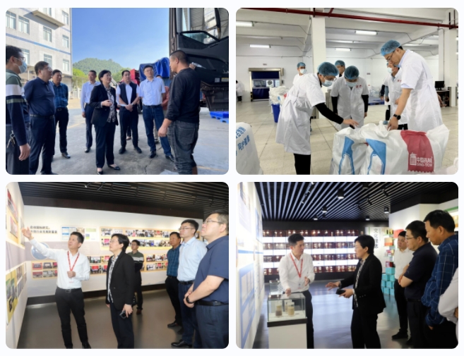 sMaF6ey7ml.png sMaF6ey7ml.png