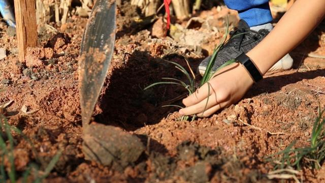 Ff0OSVmChF.png Ff0OSVmChF.png